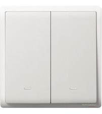 16AX 250V 2G 1W SW W FLUO LOCATOR, WE